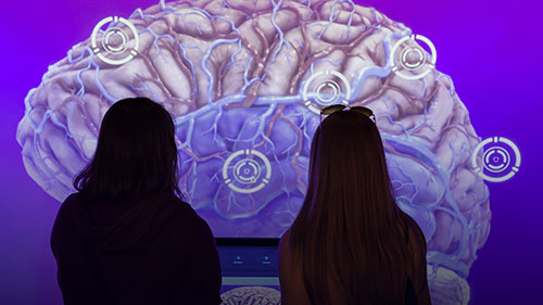 silhouette of two 啵啵直播秀 in front of a projected image of a brain